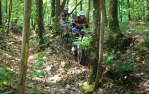 MANCHE DU  TRJV A COSSE LE VIVIEN 