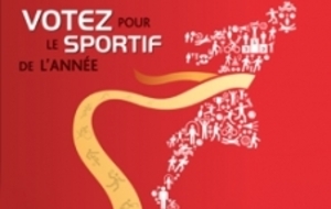 LES SPORTIFS DE L'ANNEE 2014